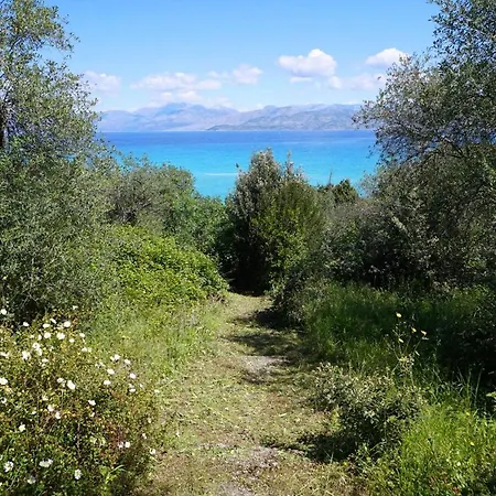 ヴィラ Thalia Estate Agios Spyridon (Corfu)